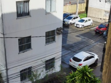 Apartamento - Venda - Jardim Nova Esperana - Salvador - BA